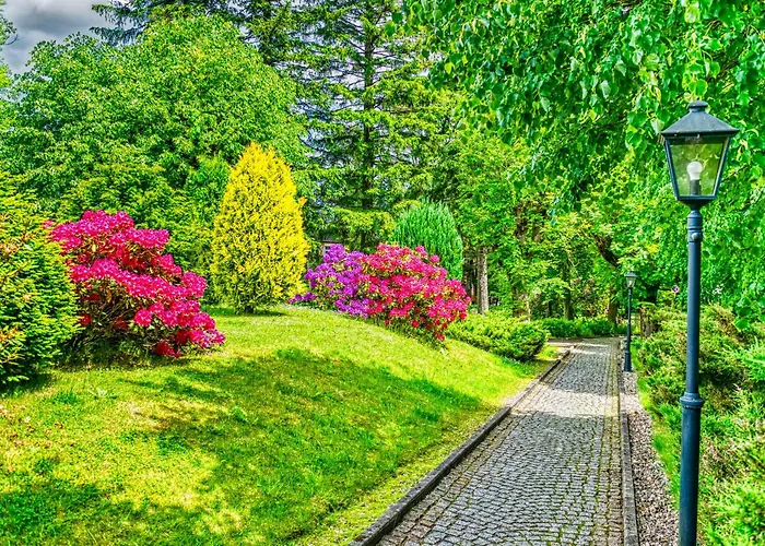 Ow Lukas - Anna Rezort